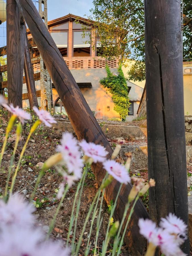 チェルタルド Il Giuggiolo - La Collina Della Quiete Bed & Breakfast エクステリア 写真