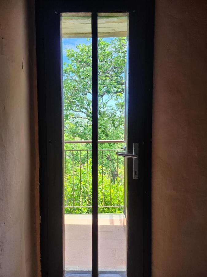 チェルタルド Il Giuggiolo - La Collina Della Quiete Bed & Breakfast エクステリア 写真