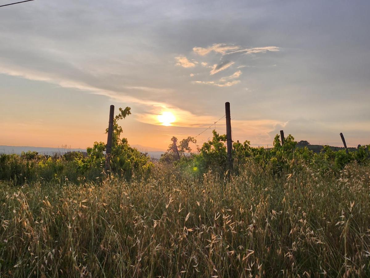 チェルタルド Il Giuggiolo - La Collina Della Quiete Bed & Breakfast エクステリア 写真