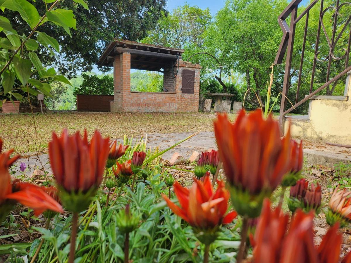 チェルタルド Il Giuggiolo - La Collina Della Quiete Bed & Breakfast エクステリア 写真